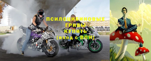 амф Алексин