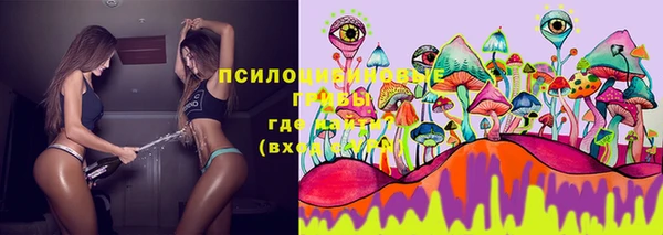 гашик Сатка