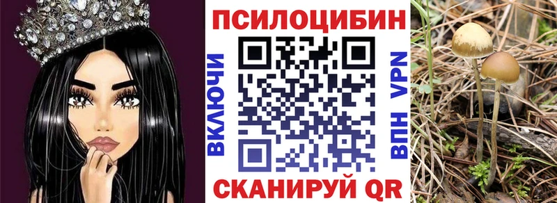Псилоцибиновые грибы прущие грибы  где продают   Жуков 