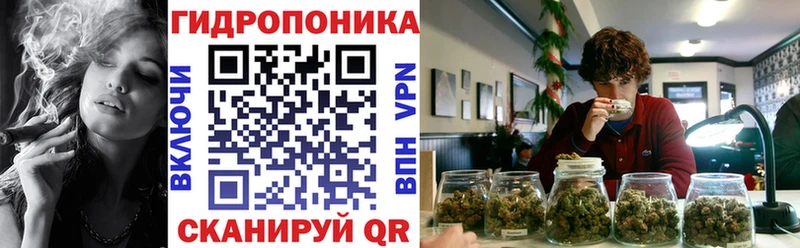 Шишки марихуана семена  наркота  KRAKEN   Жуков 